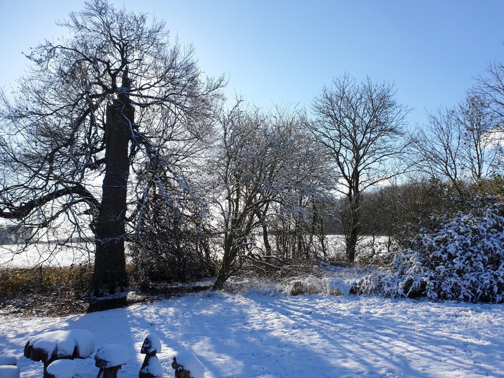 Wintery picture showing snowy trees in Long Marston