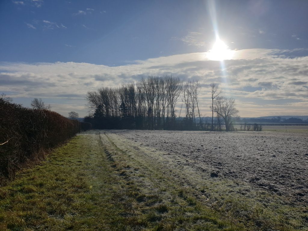 Winter country scene 